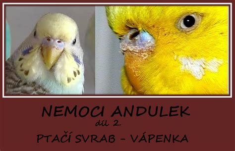 vpenka u andulek|Vápenka